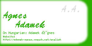 agnes adamek business card